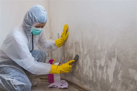 air duct cleaning and mold remediation