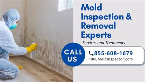 atlanta ga mold remediation