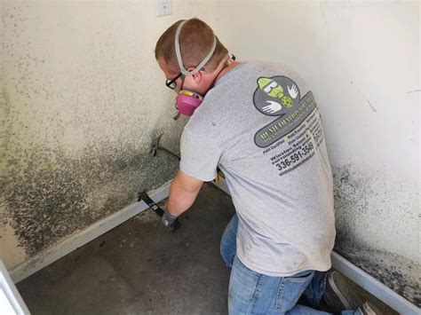 certified mold remediation company