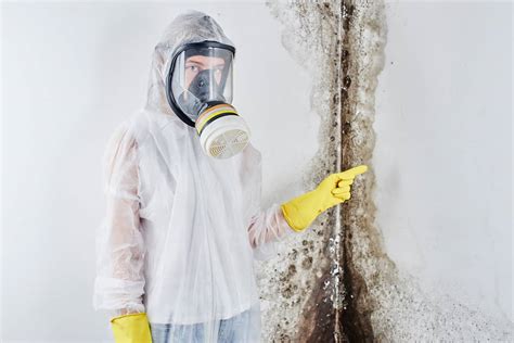 commercial mold remediation