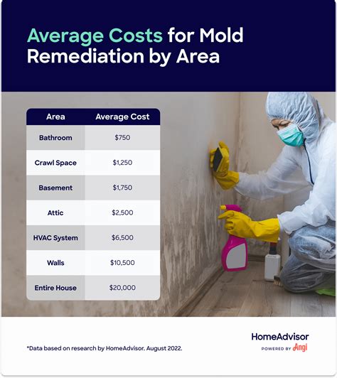 crawl space mold remediation cost