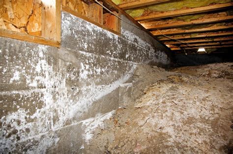 crawl space mold remediation