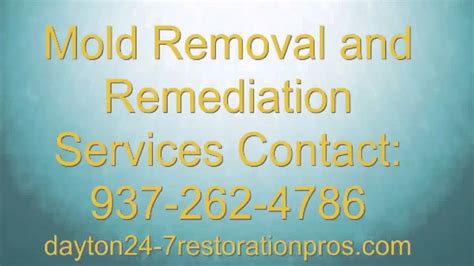 dayton mold remediation