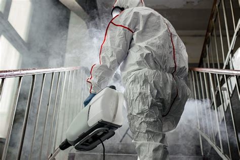 does mold remediation work