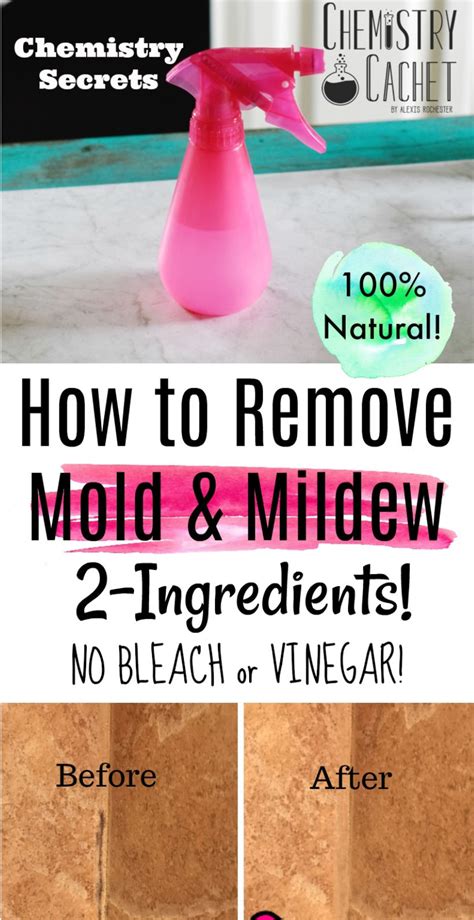 home remedies to remove mold