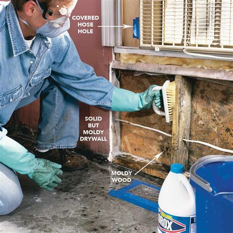 how to mold remediation