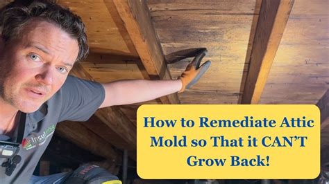 how to remediate mold in attic