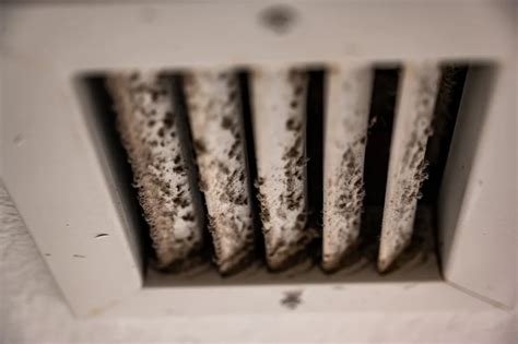 hvac mold remediation