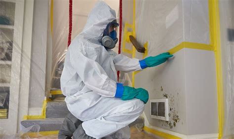 madison mold remediation