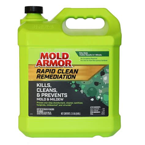 mold armor rapid clean remediation