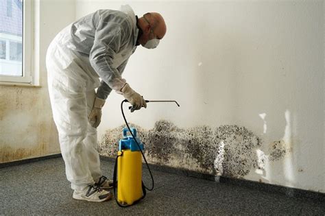 mold assessment and remediation