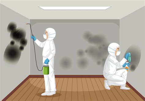 mold mitigation vs remediation