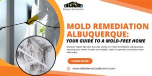 mold remediation albuquerque nm