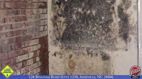 mold remediation asheville nc