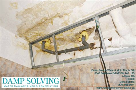 mold remediation atlanta ga