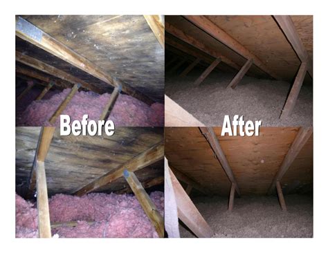 mold remediation attic