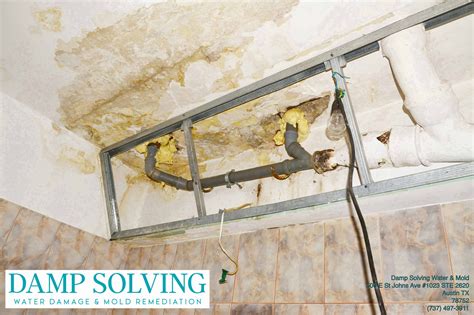 mold remediation austin tx