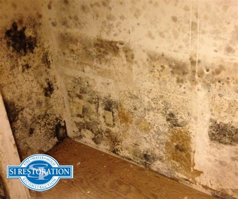 mold remediation baltimore md