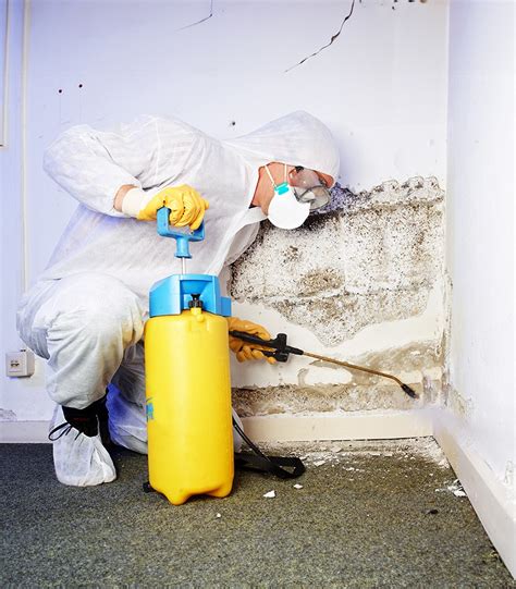 mold remediation birmingham al