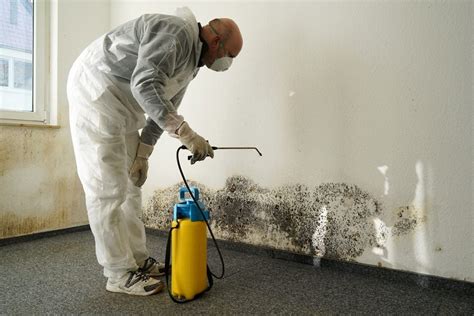 mold remediation bleach