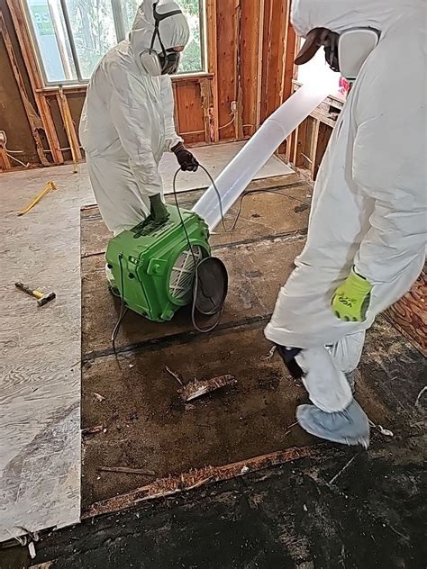 mold remediation boise idaho