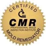 mold remediation certification