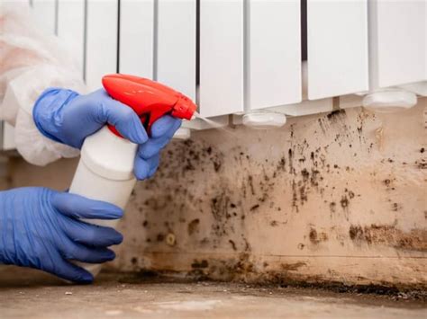 mold remediation columbus ohio