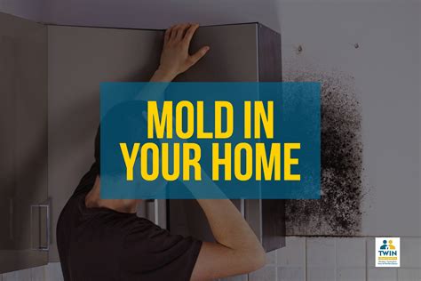 mold remediation companies los angeles