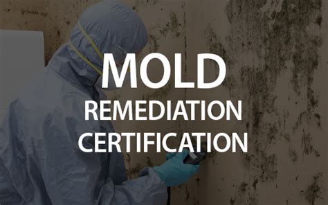 mold remediation courses