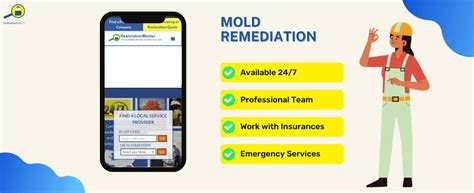 mold remediation dallas tx