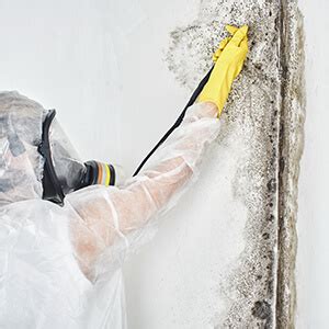 mold remediation fort wayne