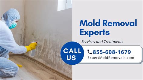 mold remediation greensboro