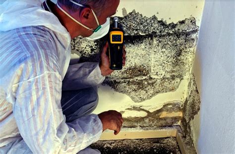 mold remediation jacksonville