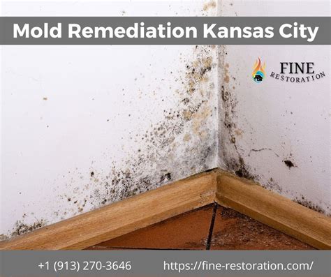 mold remediation kansas city mo