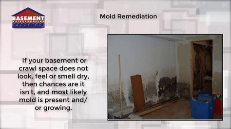 mold remediation lancaster