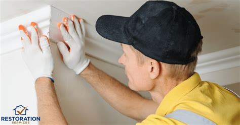 mold remediation madison wi