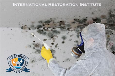 mold remediation massachusetts