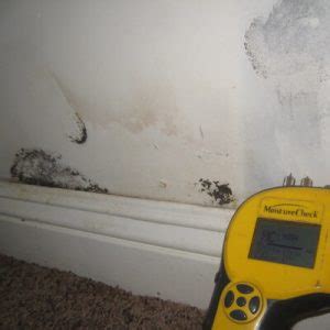 mold remediation memphis tn