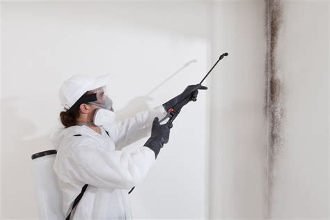 mold remediation naples fl