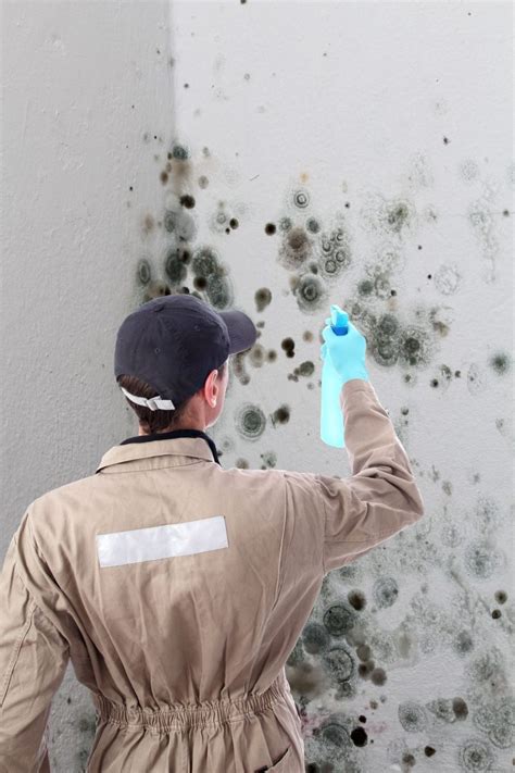 mold remediation oklahoma city ok