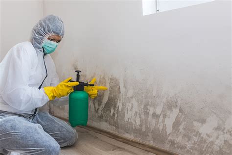 mold remediation omaha