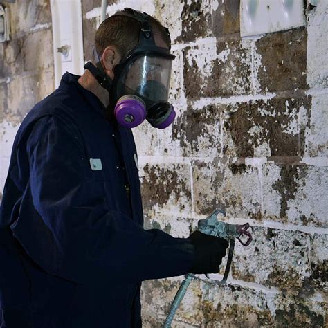 mold remediation pittsburgh pa