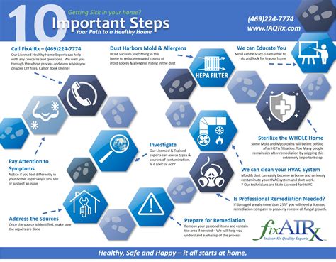 mold remediation procedures standard