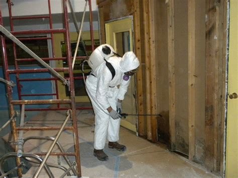 mold remediation pros baltimore maryland