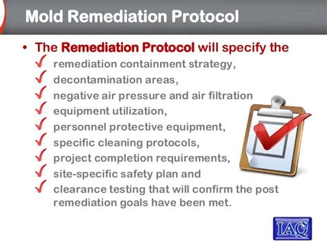 mold remediation protocol