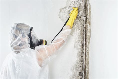 mold remediation restoration