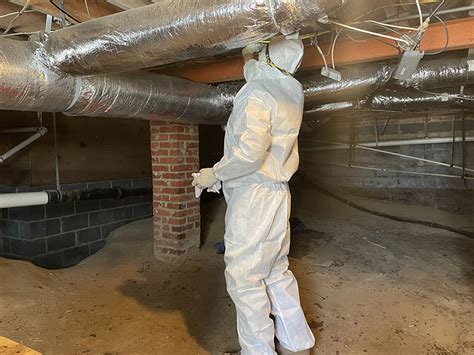 mold remediation richmond va