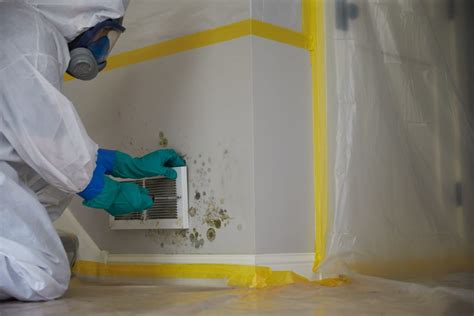 mold remediation san diego ca