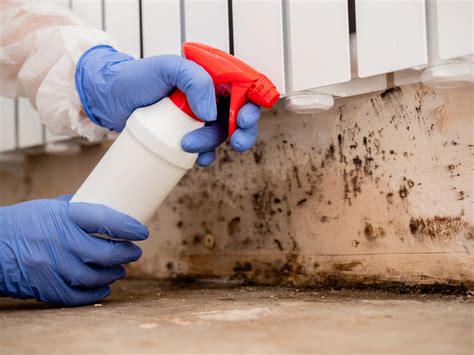 mold remediation seattle wa