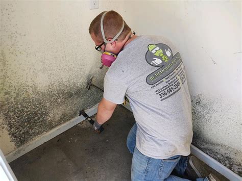 mold remediation service near me